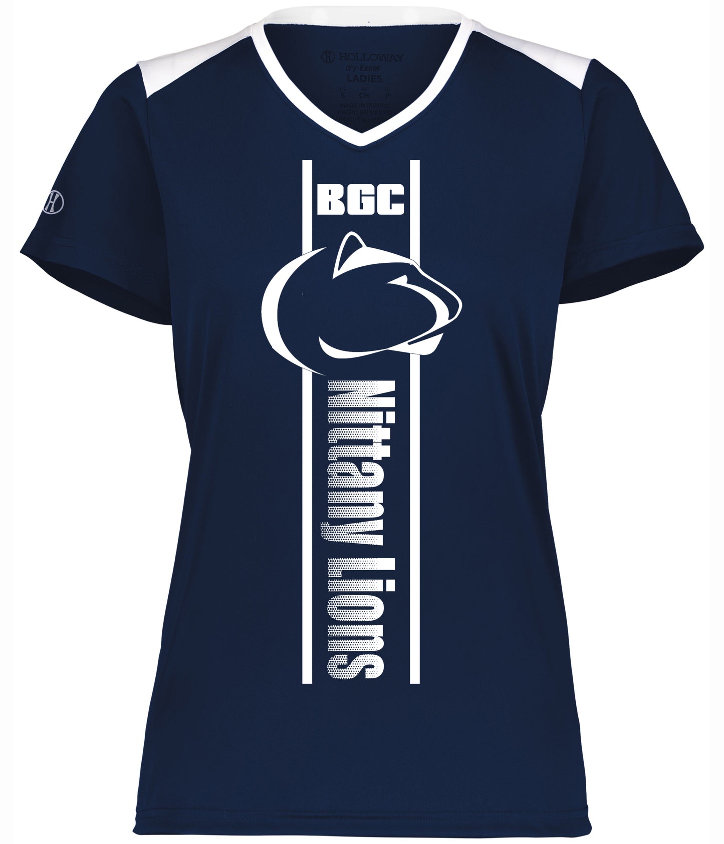 Nittany Lion Vertical Game