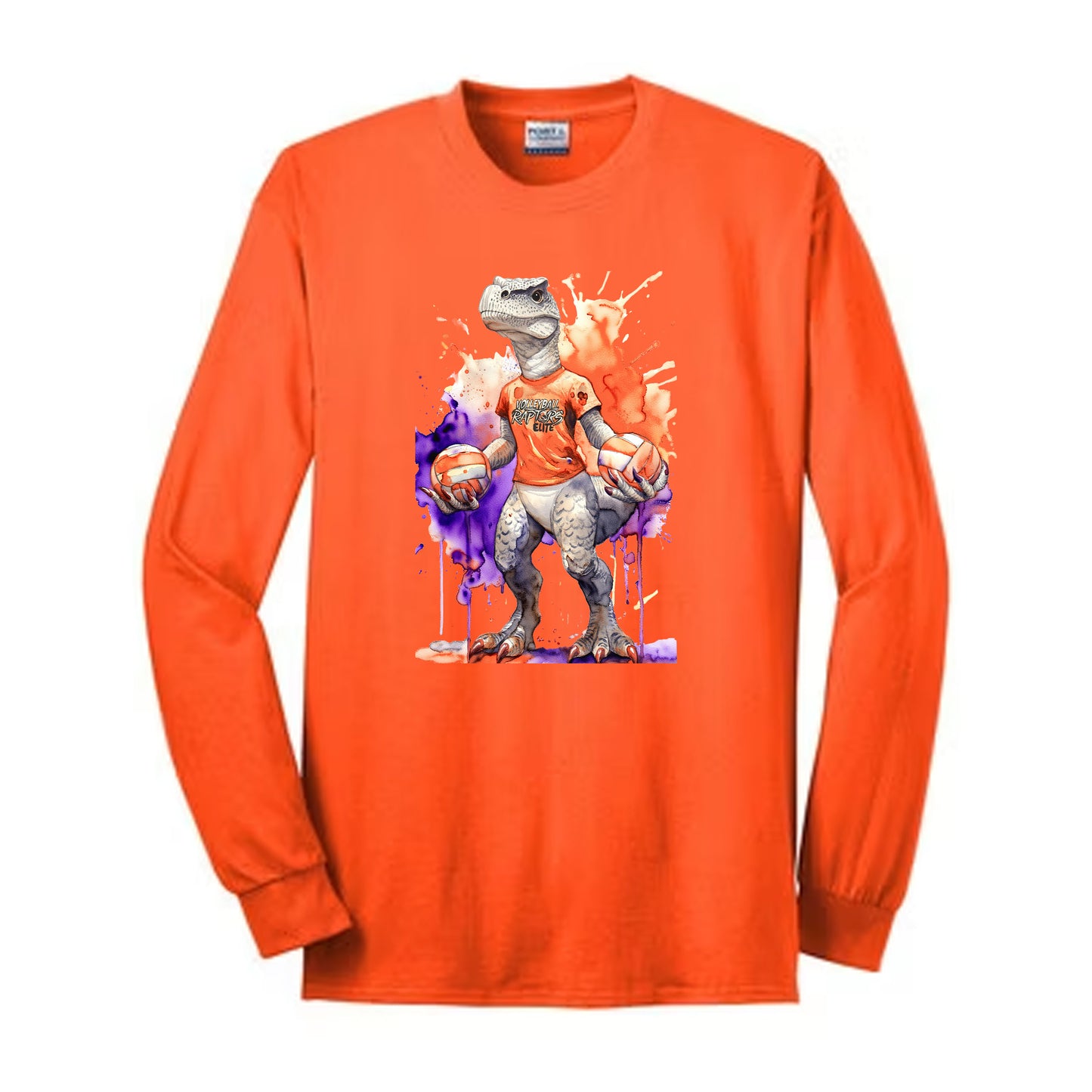 Raptors Watercolor 50/50 Long Sleeve Tee